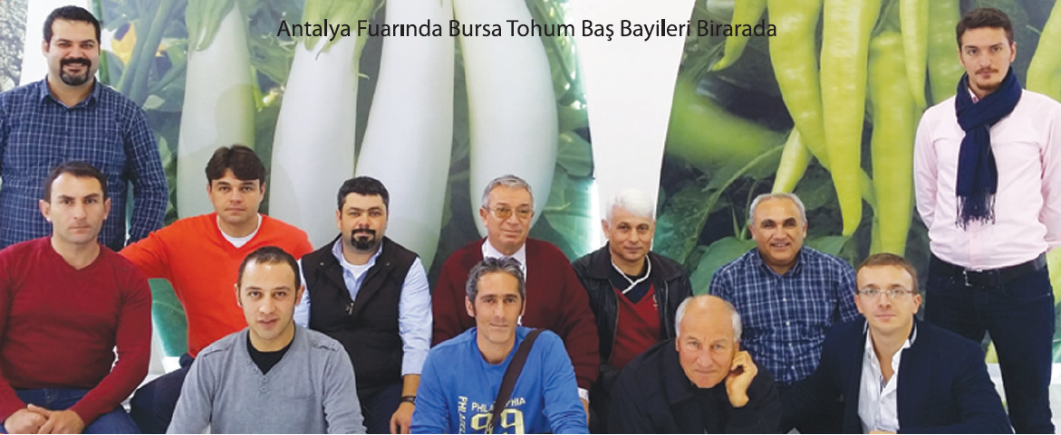 Bursa Tohum - Bursa Seed